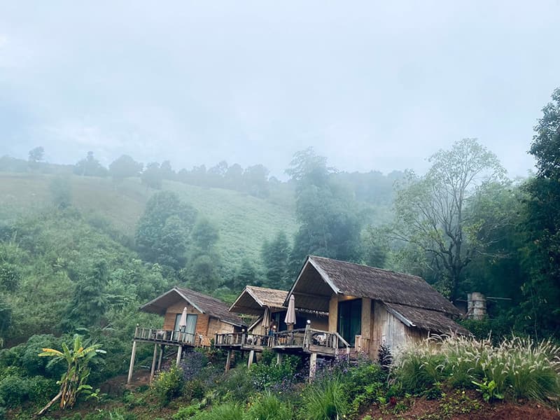 2025년 우기 여행지 10선: 자연 속에서 즐기는 완벽한 휴식