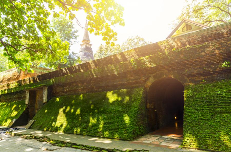 Chiang Mai Enchanting Rainy Season 2024 : A Complete Guide to Lush Green Escapes